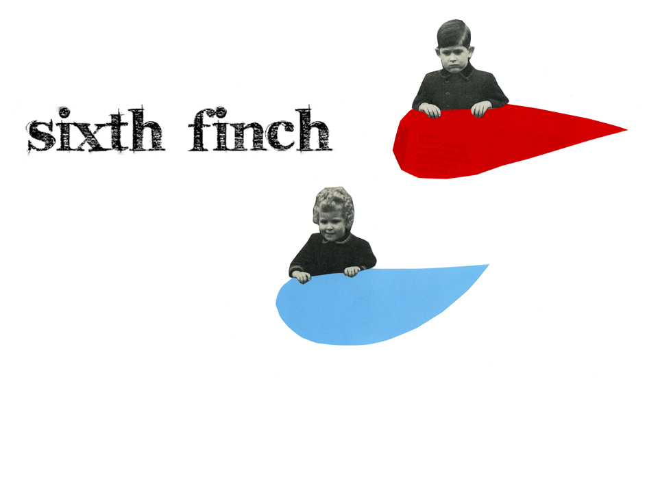 Sixth Finch, summer 2010